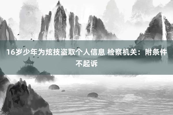 16岁少年为炫技盗取个人信息 检察机关：附条件不起诉