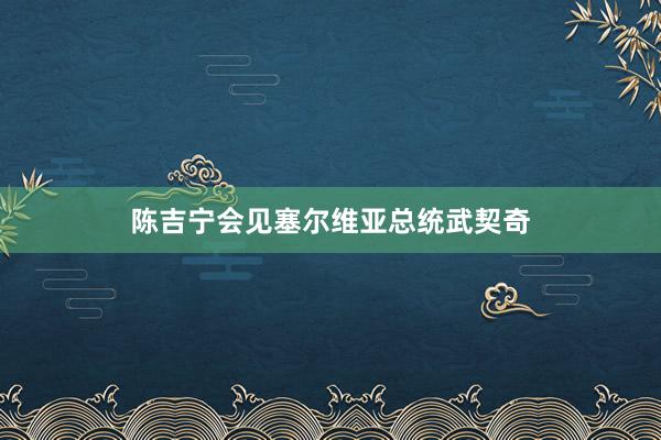 陈吉宁会见塞尔维亚总统武契奇