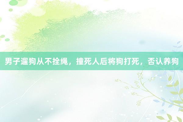 男子遛狗从不拴绳，撞死人后将狗打死，否认养狗